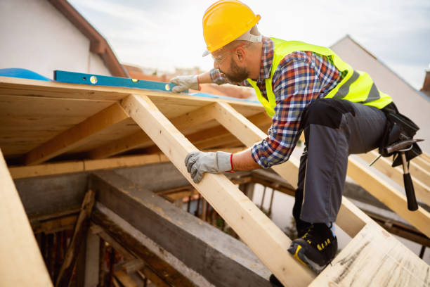 Best Roof Gutter Cleaning  in Burlington, KY